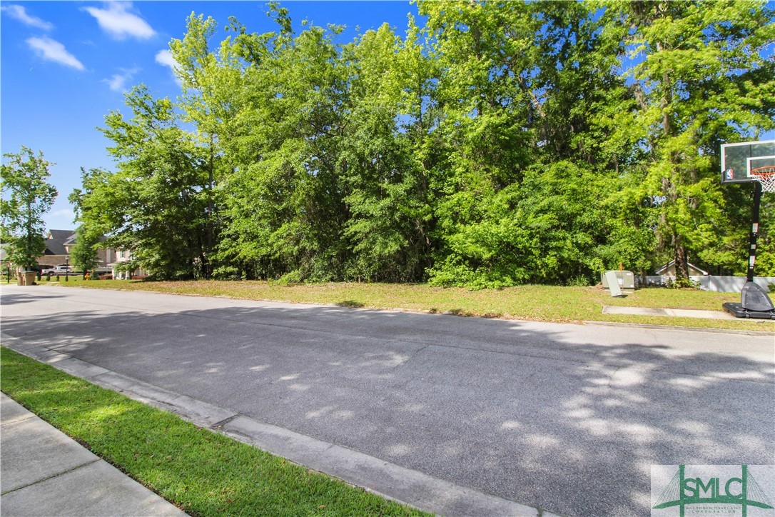 113 Crestview Drive