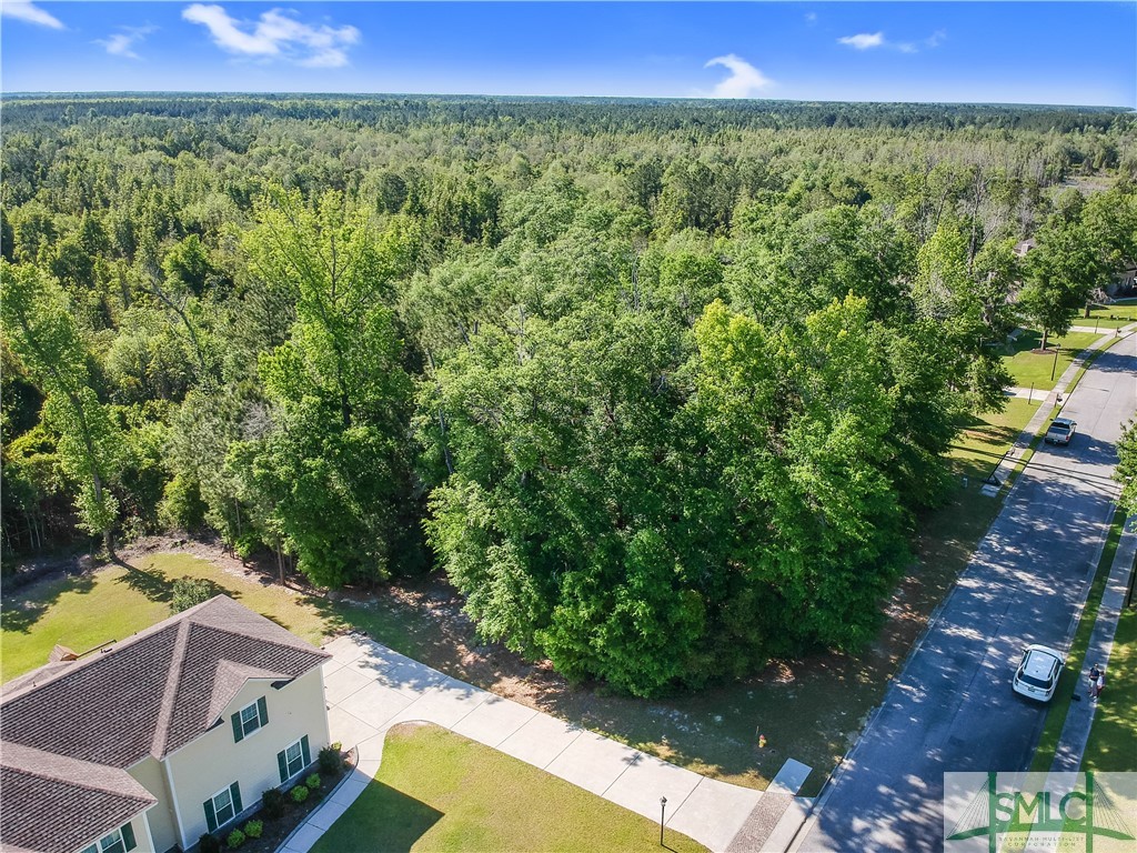 113 Crestview Drive
