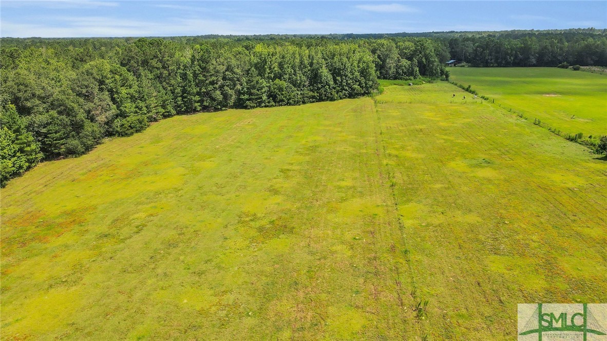 4115 Seed Tick Road