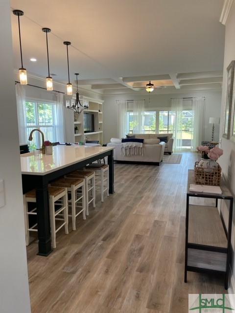 85 Calhoun Lane