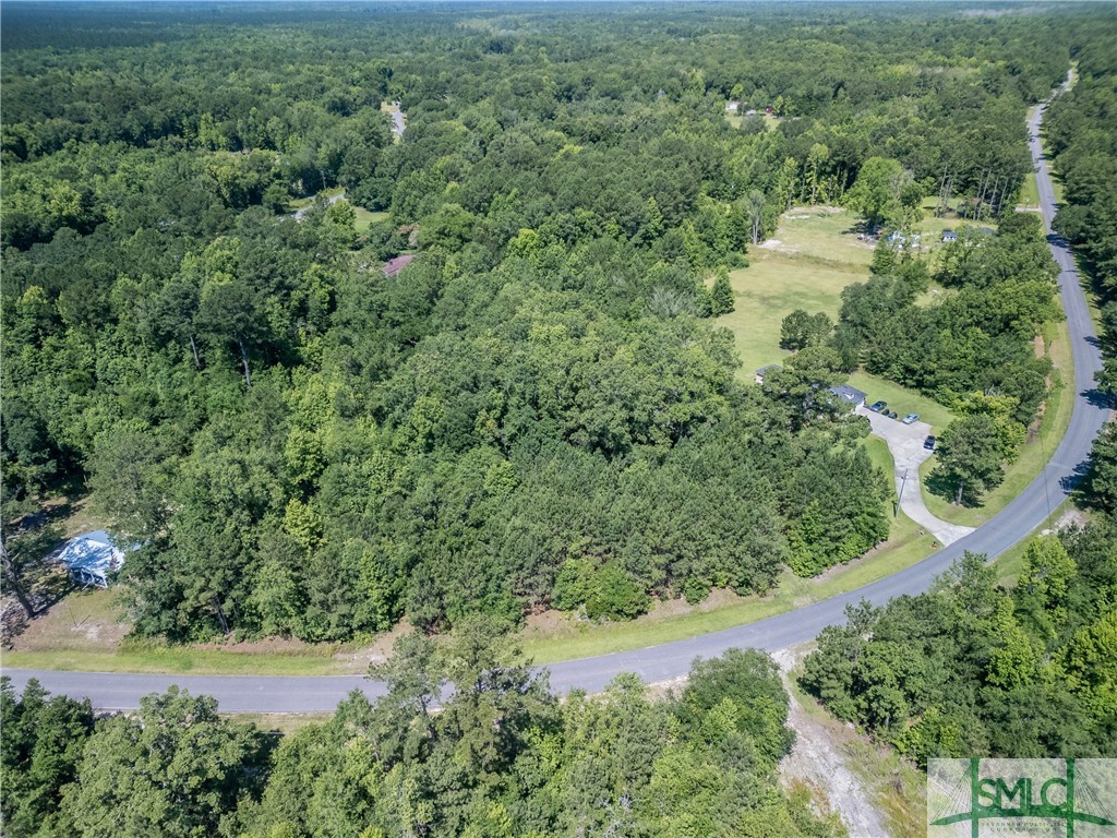 3.40 Acres Holmestown Loop