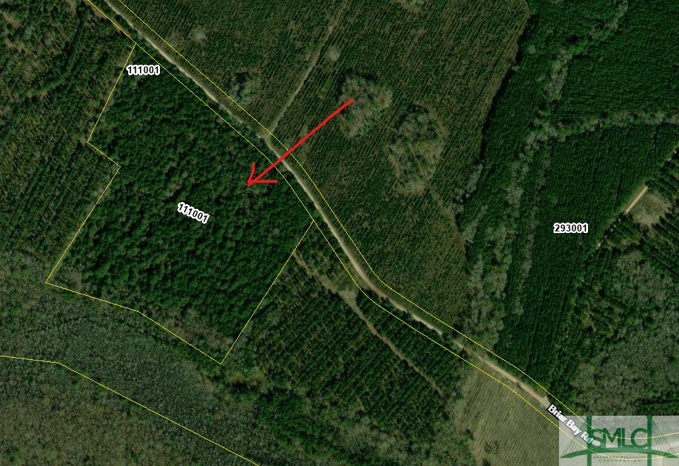 25.46 Acres Briar Bay Road