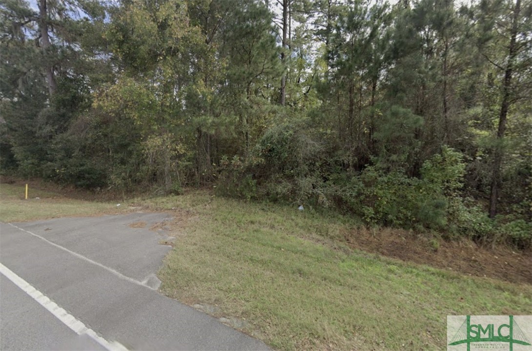 1.54 Acres E Oglethorpe Highway