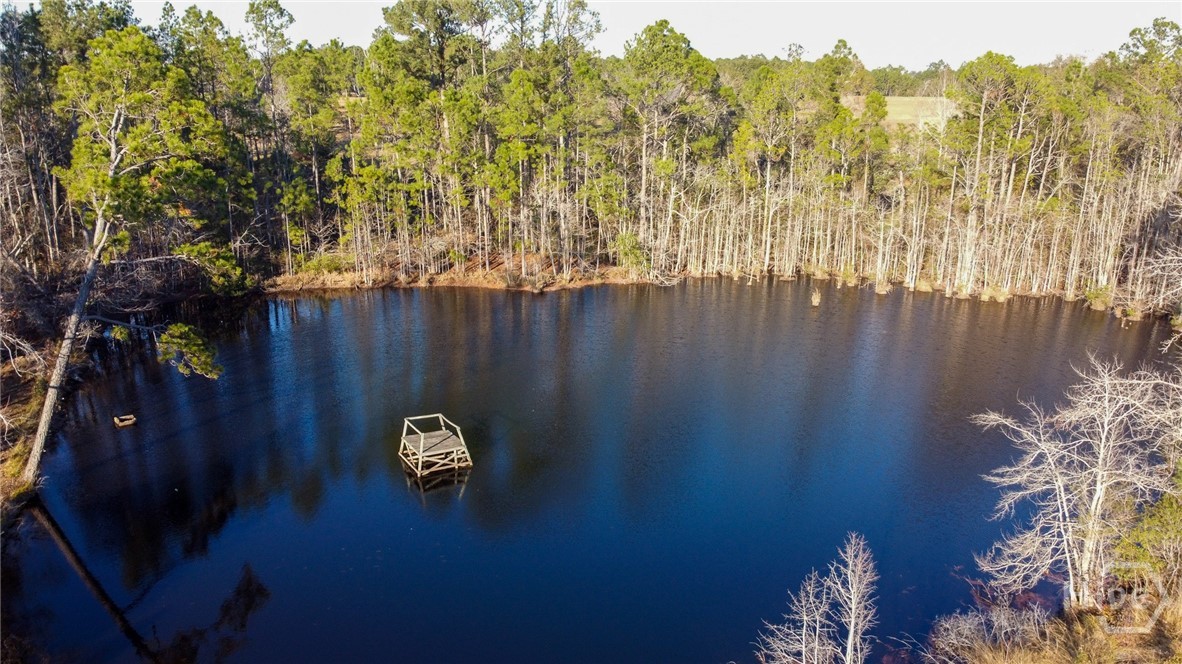 481 Clifford Purvis Road