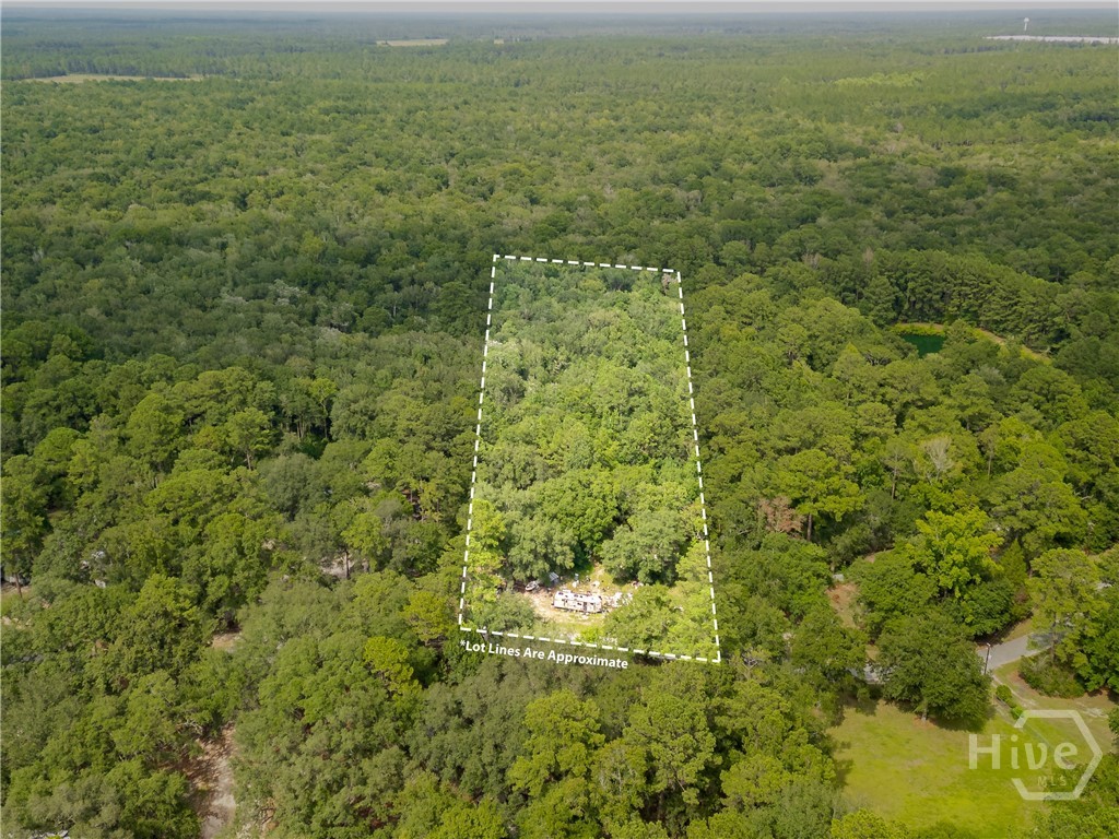 920 Pine Needle Drive