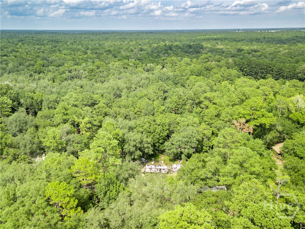 920 Pine Needle Drive