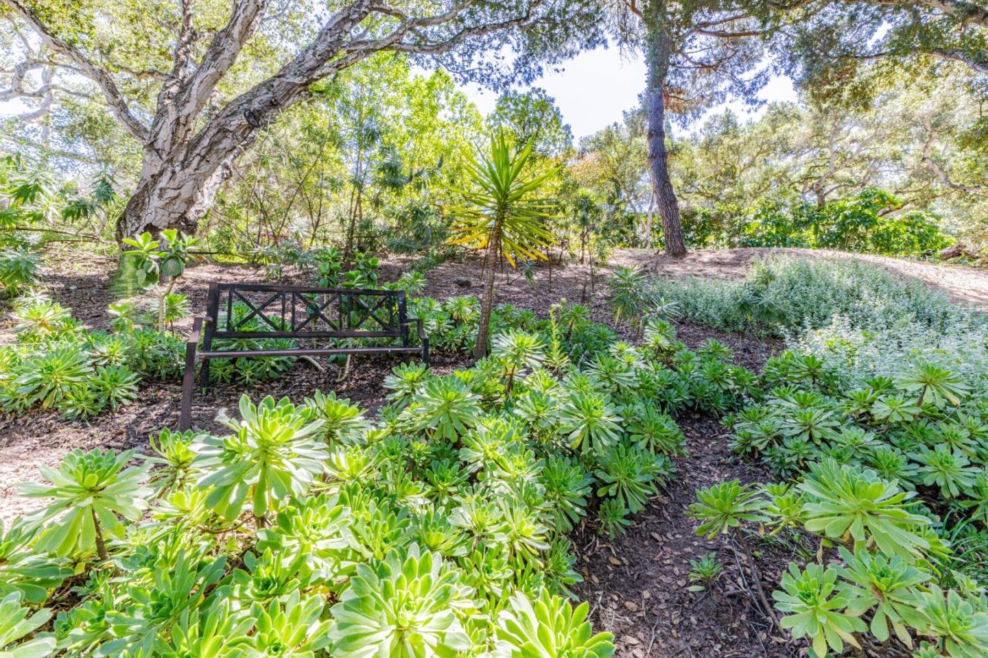 17848 Berta Canyon Road