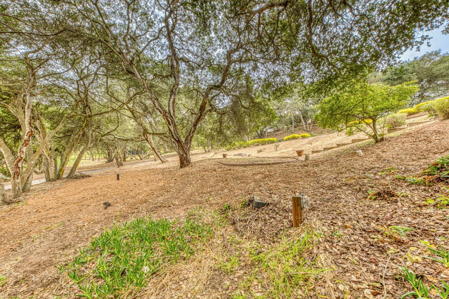 19602 Brentwood CT