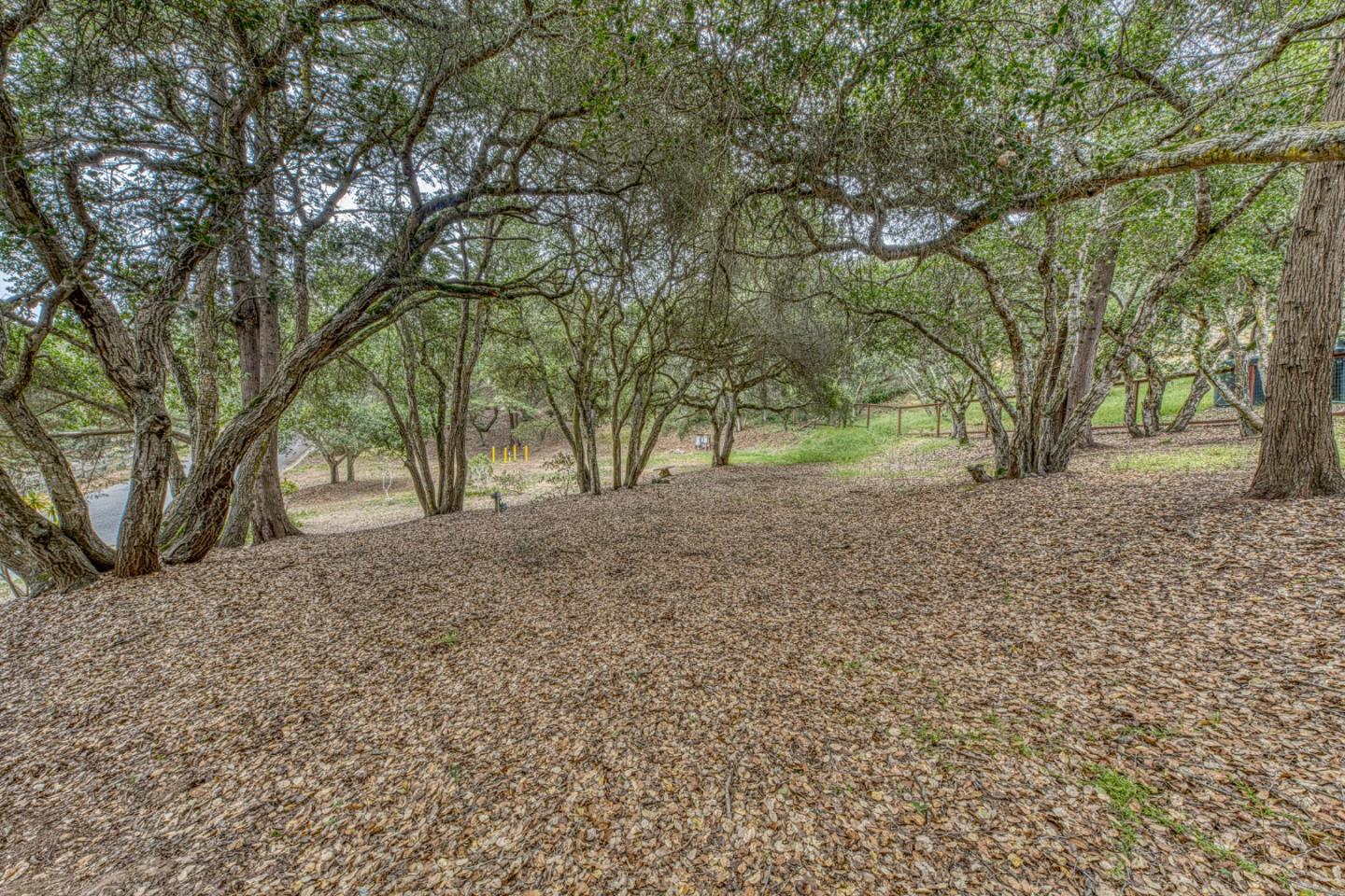 19602 Brentwood CT
