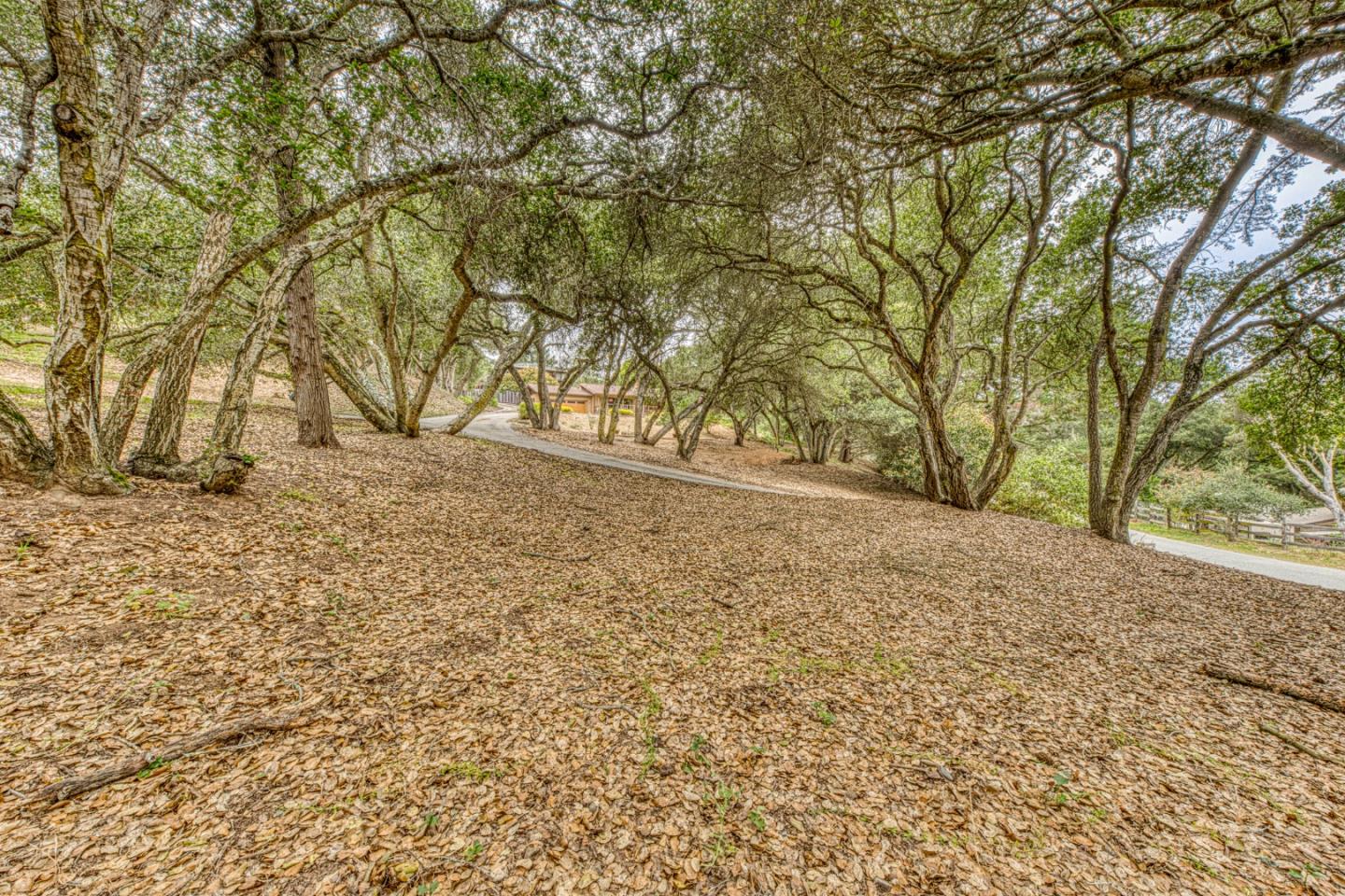 19602 Brentwood CT