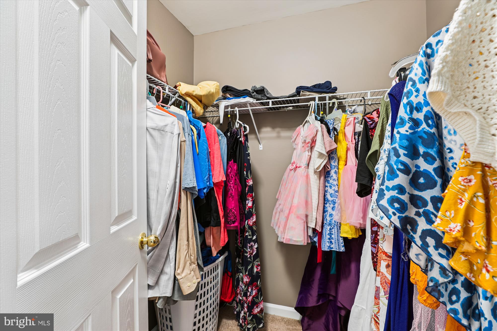 7104 Silverleaf Oak Rd #173