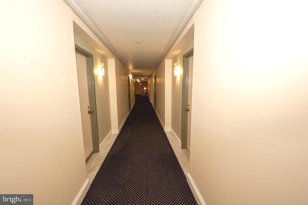 6100 Westchester Park Dr #1801