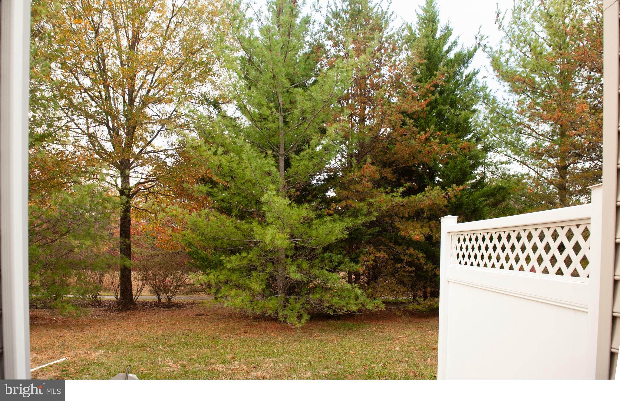 13204 RABBIT CHASE ROAD