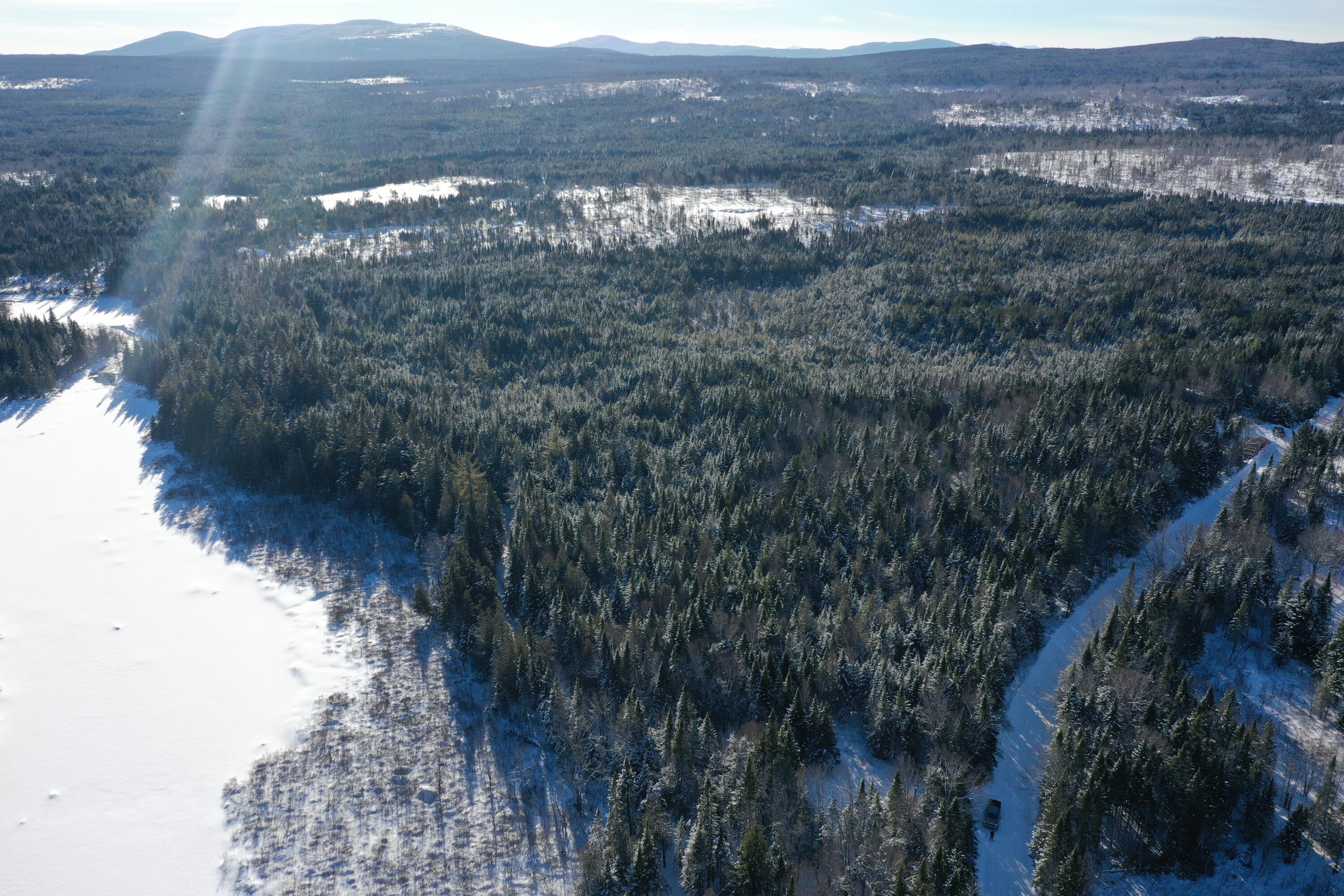 Lot 4 West Bog