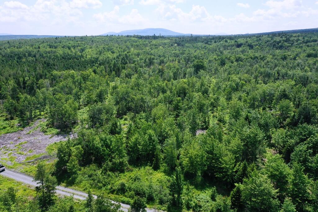 Lot 8 West Bog