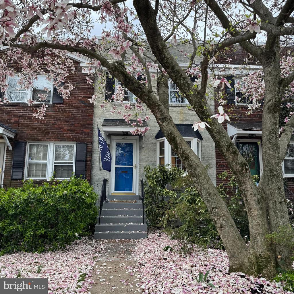 437 E NELSON AVENUE