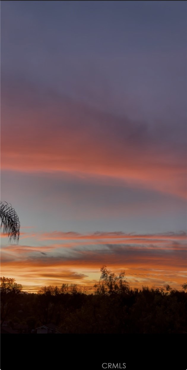 31562 Paseo Goleta