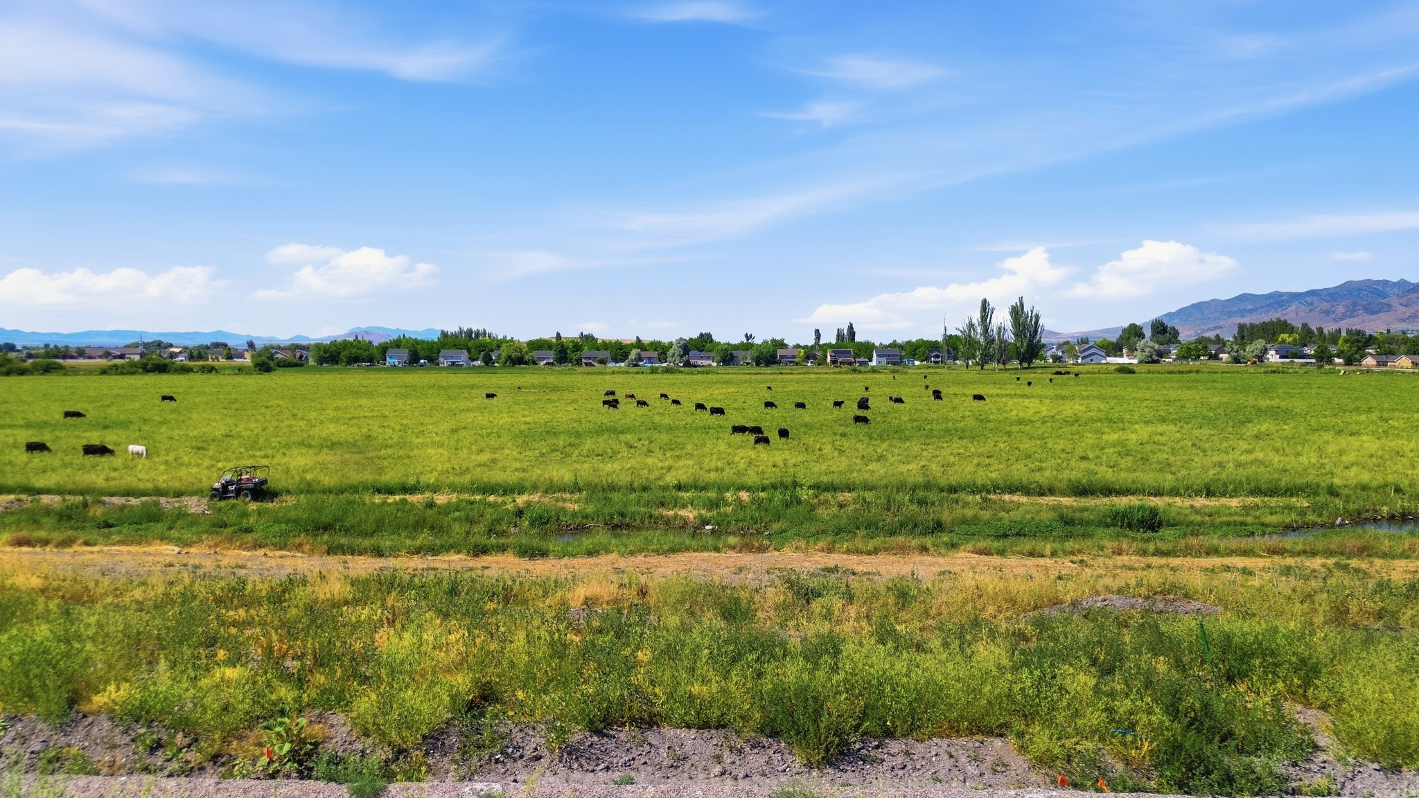 1388 WILLOW LAKES DR Unit: 83