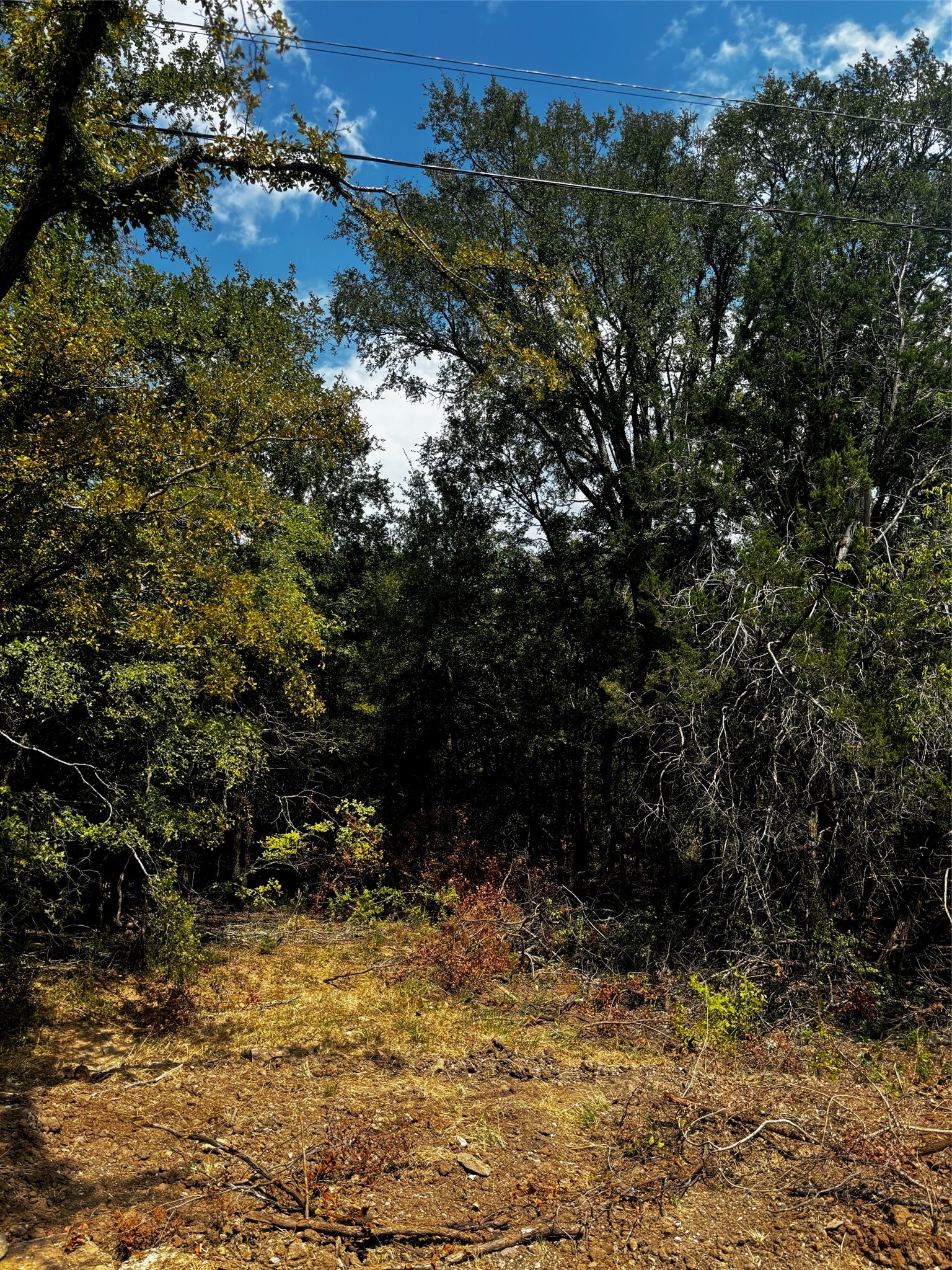 5511 Cold Water Trail