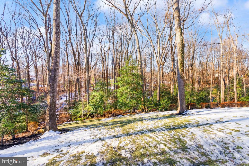 1720 FOX RUN COURT