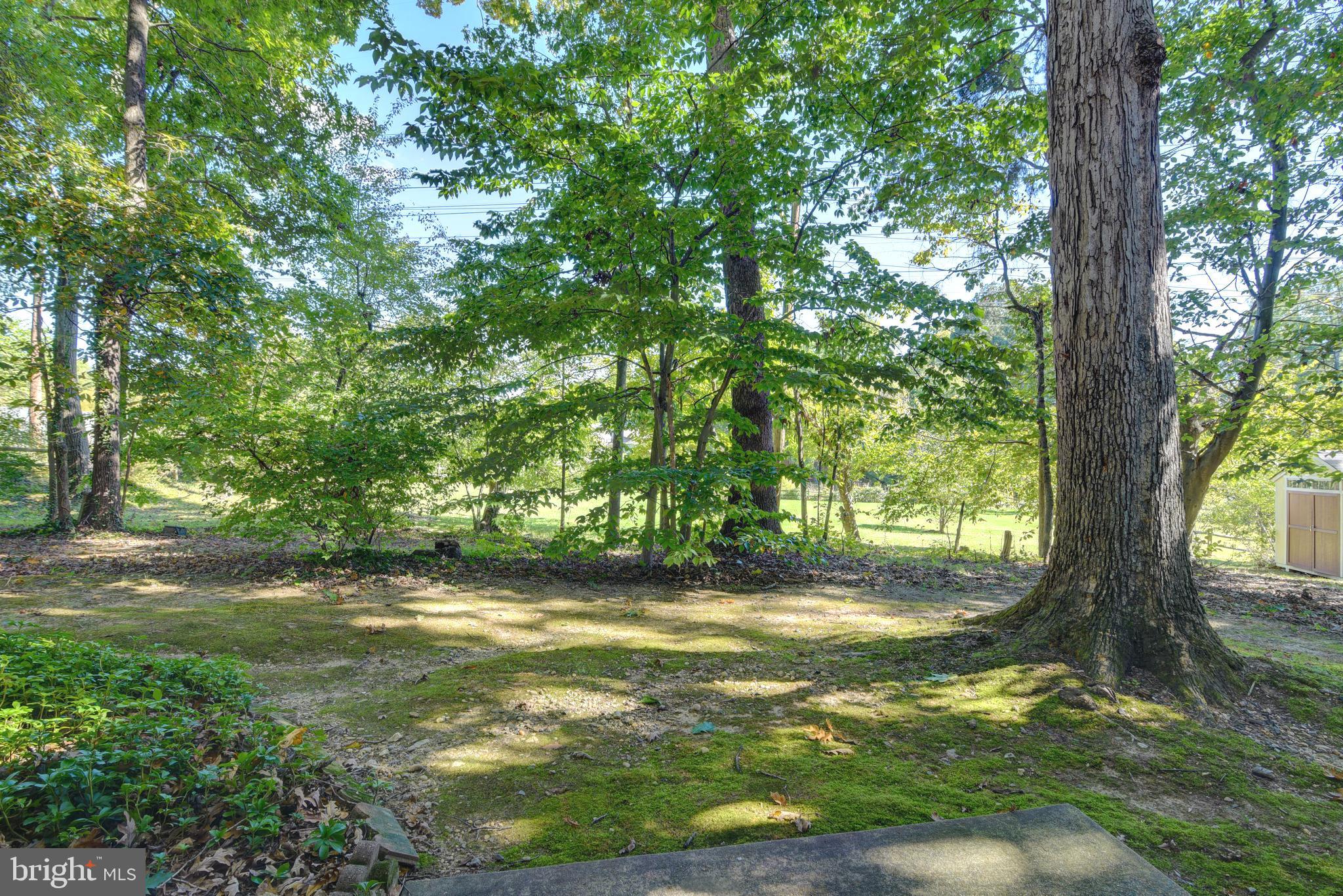 5901 BOOTHE DRIVE