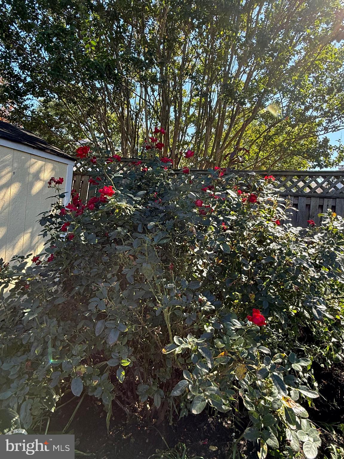 4133 POINT HOLLOW LANE