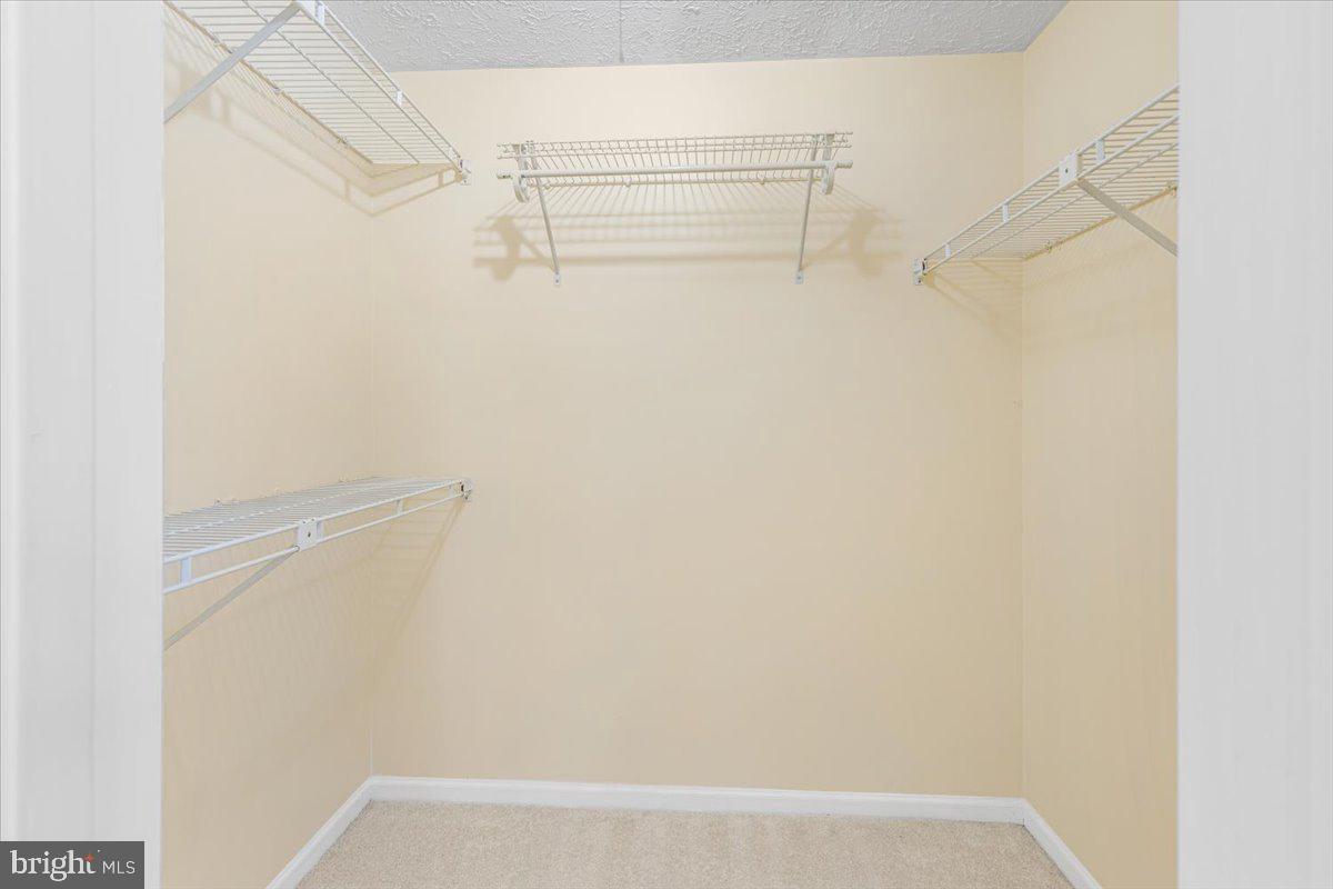 5438 TREE LINE DRIVE