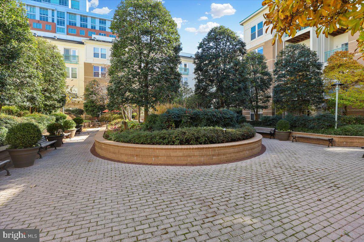 12001 MARKET STREET 257