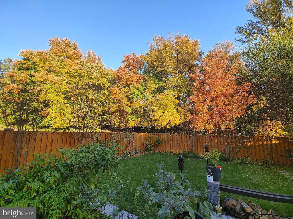 7114 WESTFIELD COURT