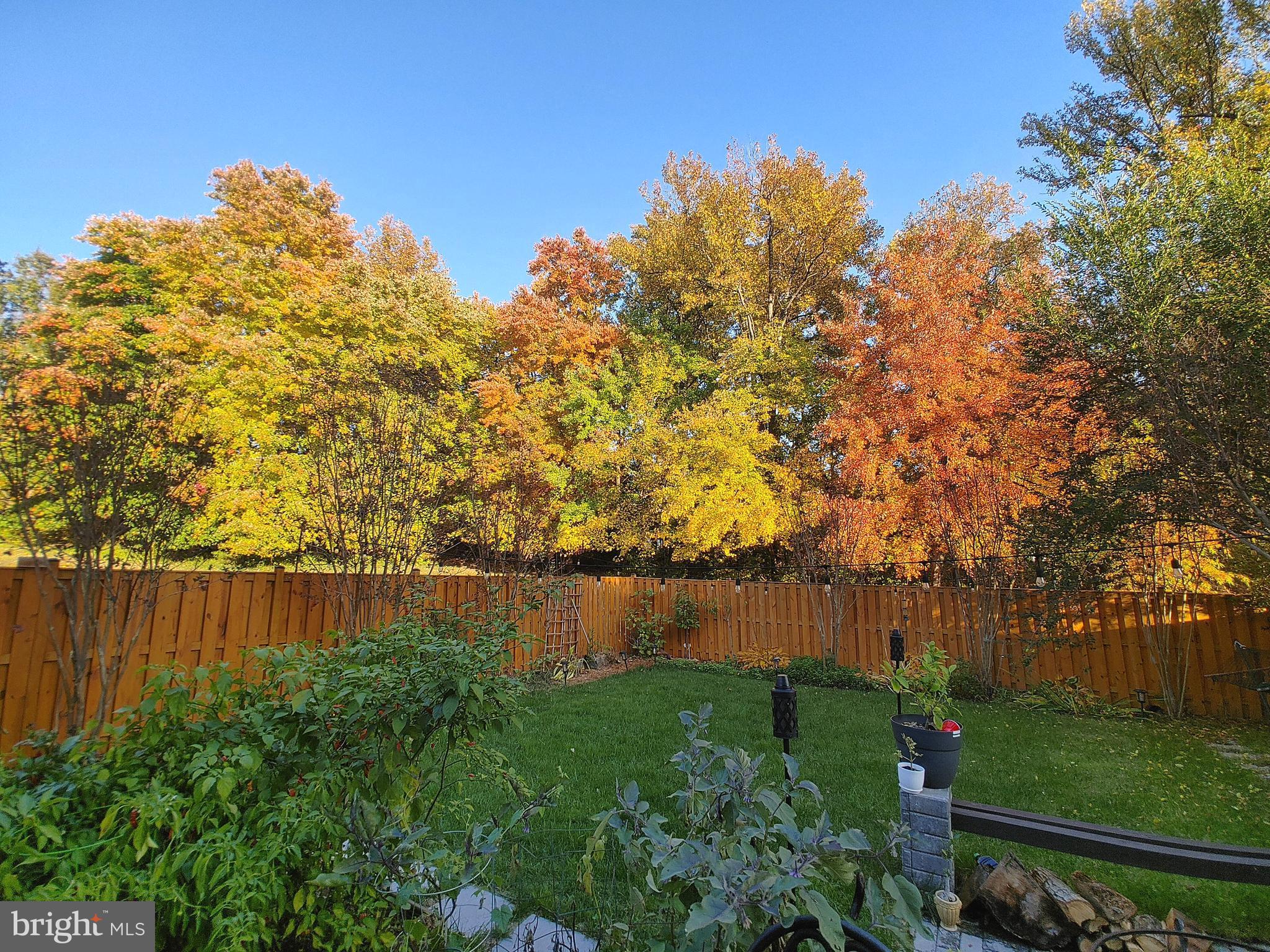 7114 WESTFIELD COURT