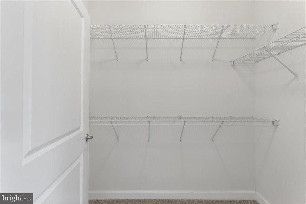 3117 SUNDROPS COURT