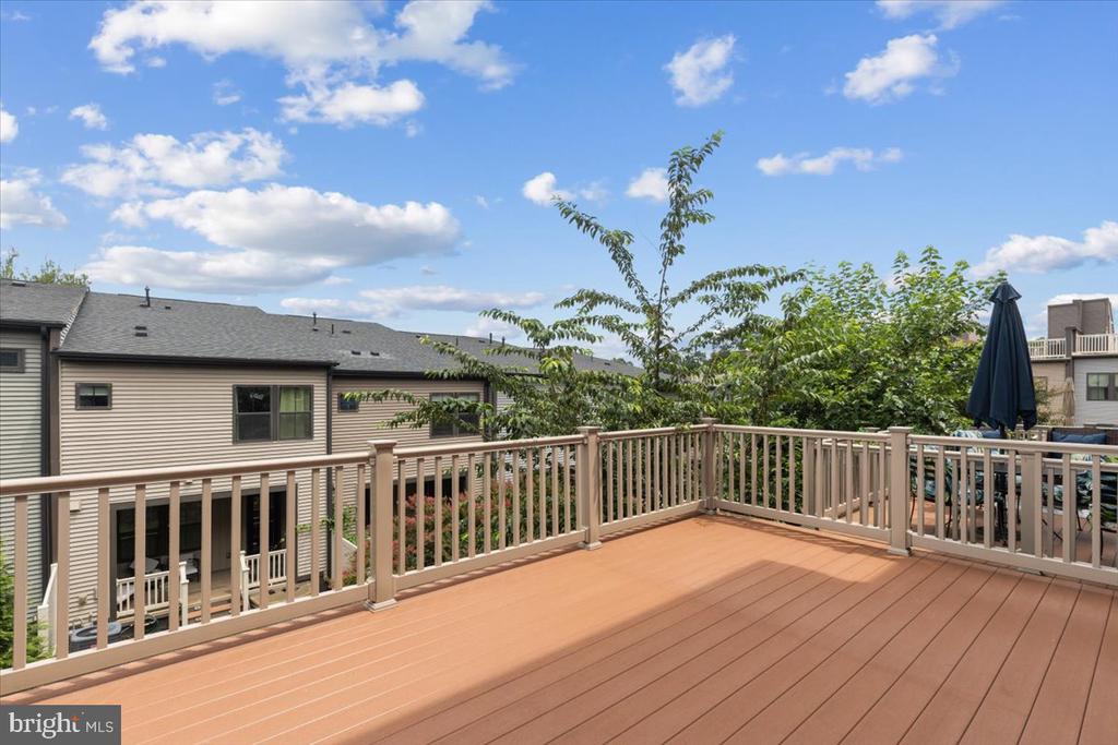 3117 SUNDROPS COURT