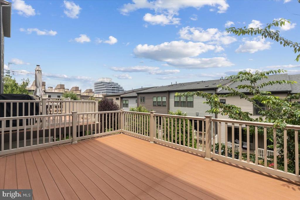 3117 SUNDROPS COURT