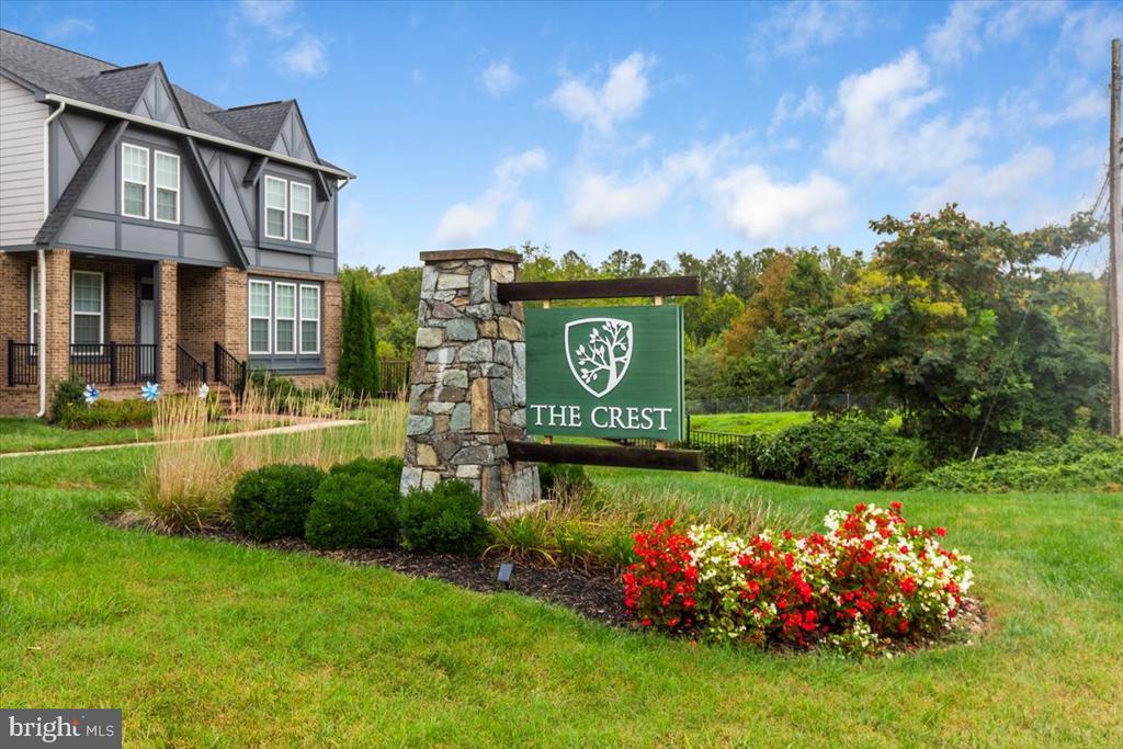 6137 OLIVET DRIVE