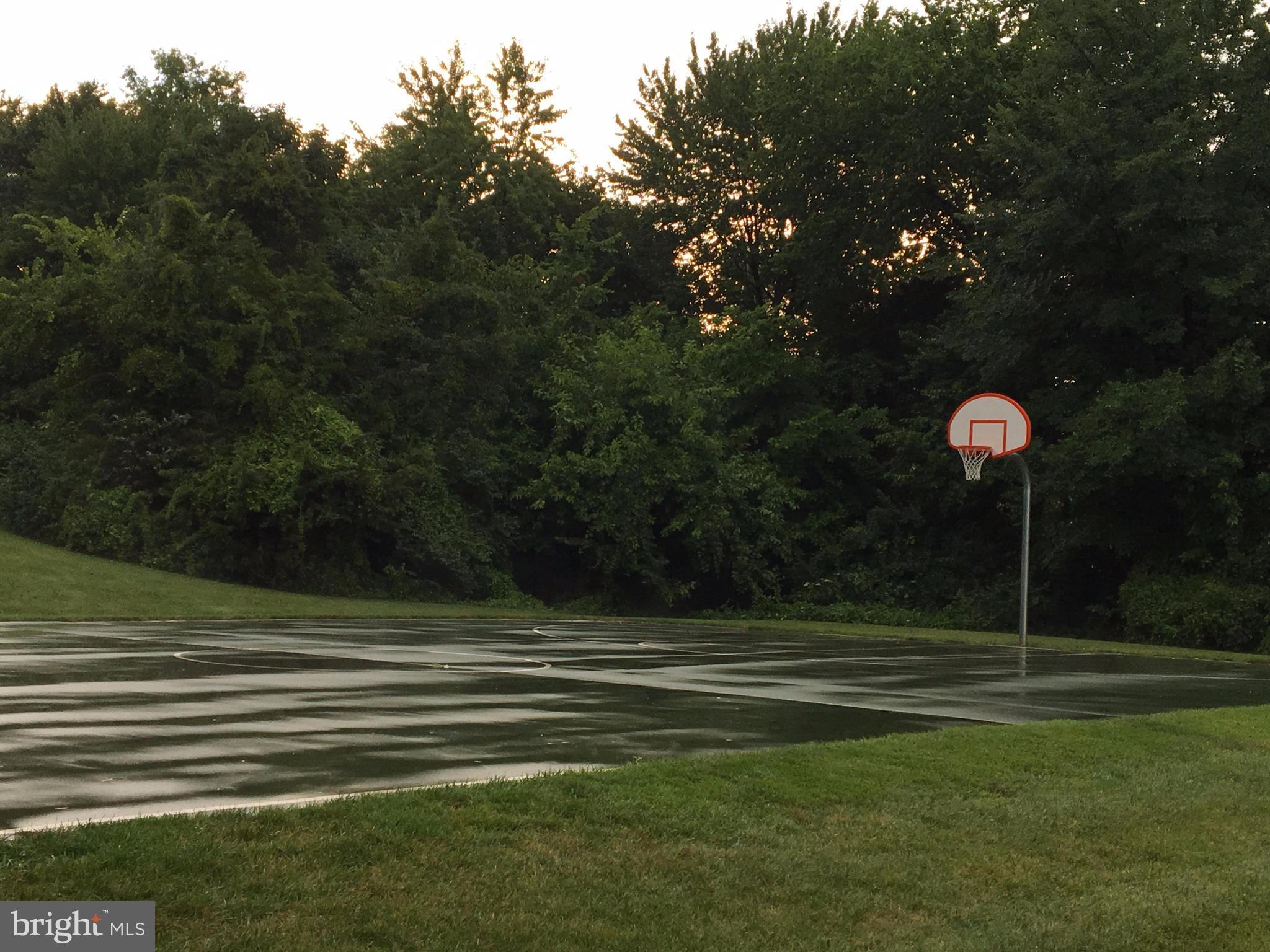 46748 WOODMINT TERRACE