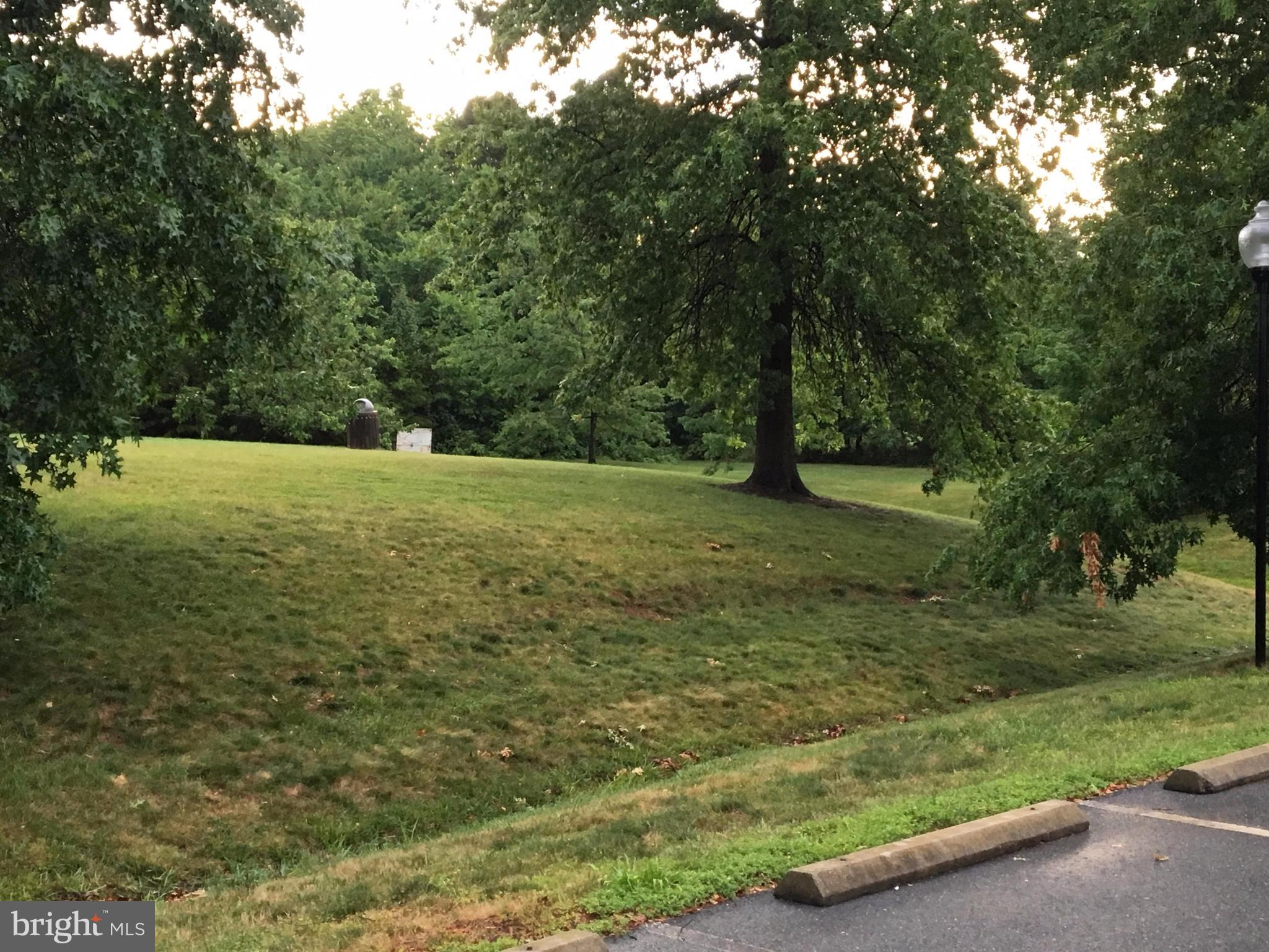 46748 WOODMINT TERRACE