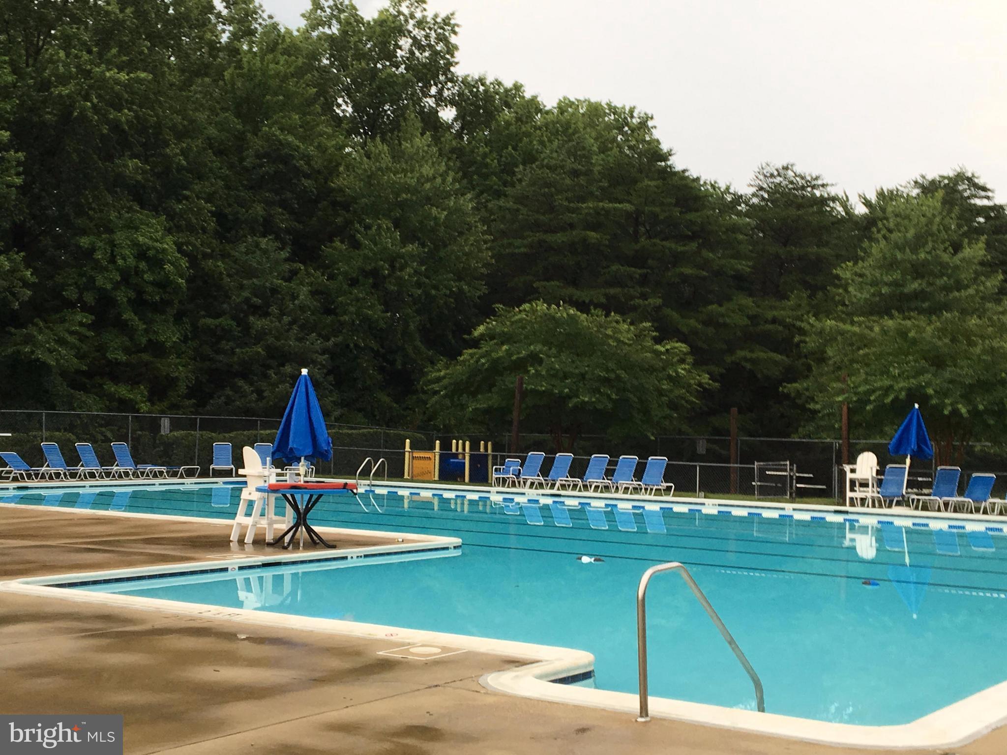 46748 WOODMINT TERRACE