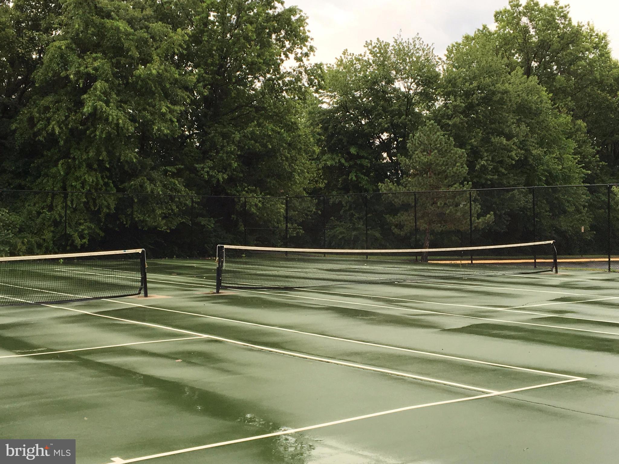 46748 WOODMINT TERRACE