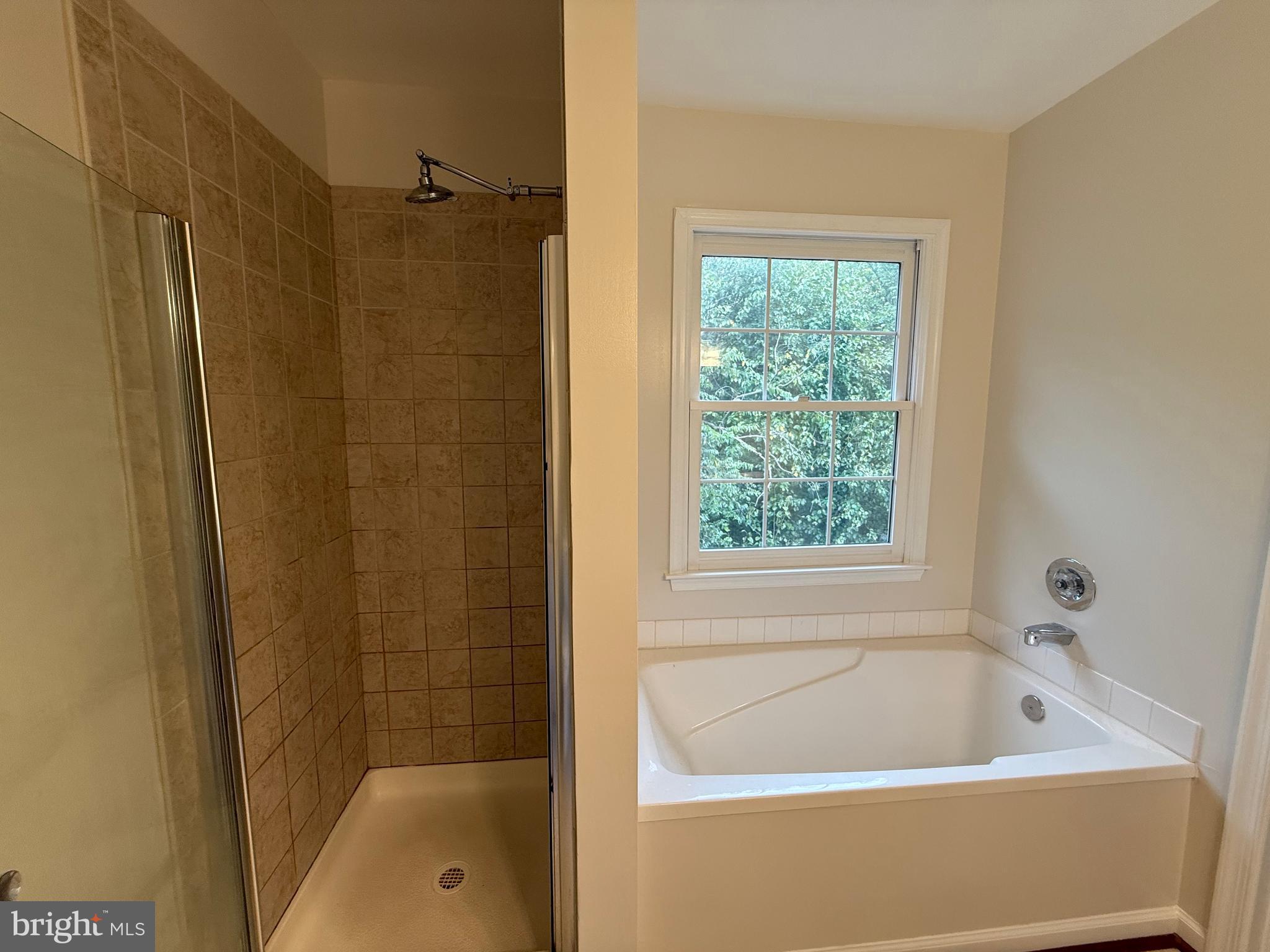 46748 WOODMINT TERRACE