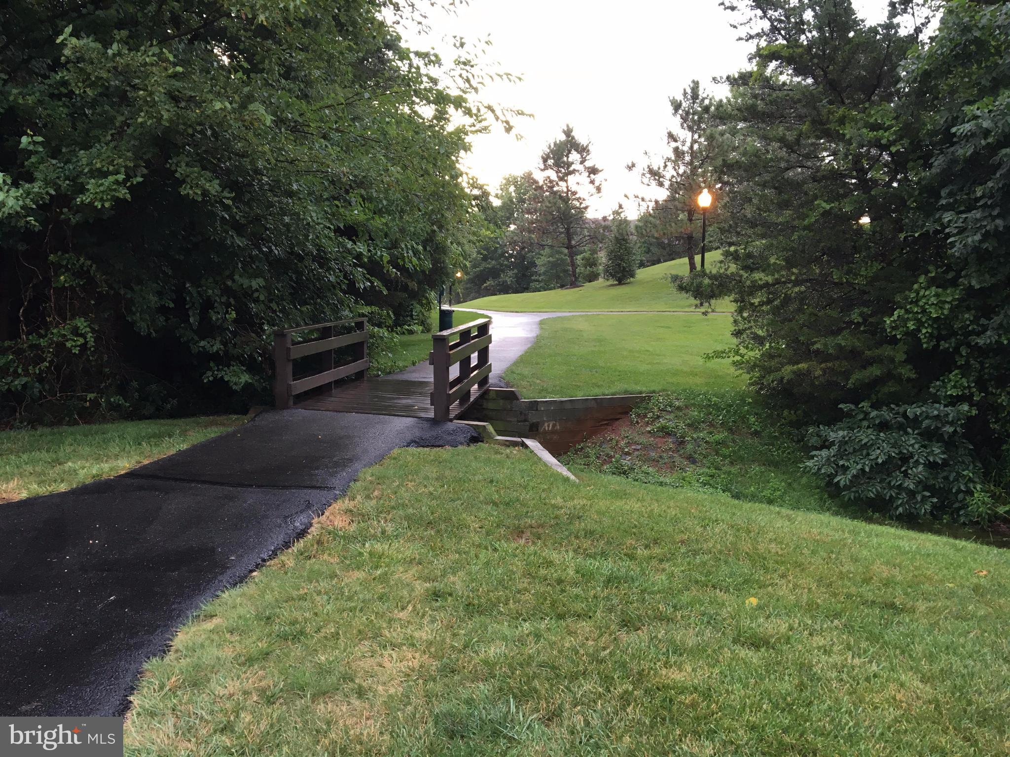 46748 WOODMINT TERRACE