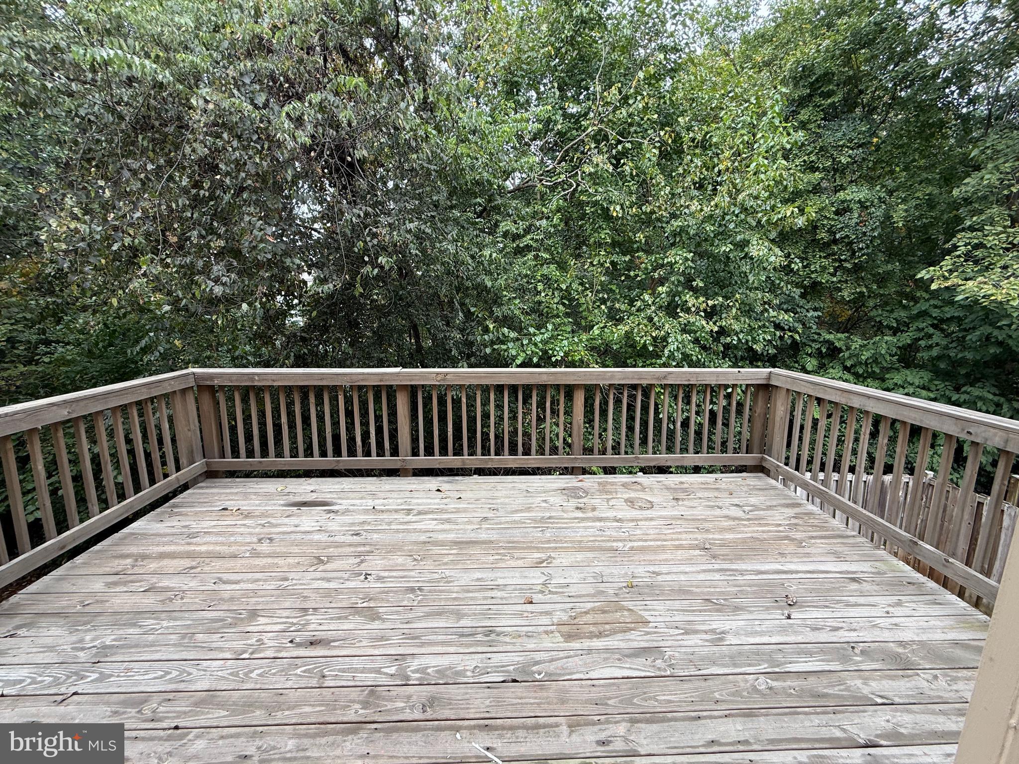 46748 WOODMINT TERRACE