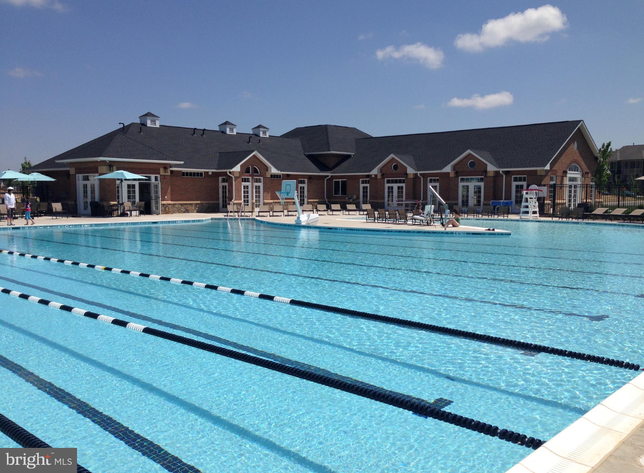 42266 WINTER HAVEN DRIVE