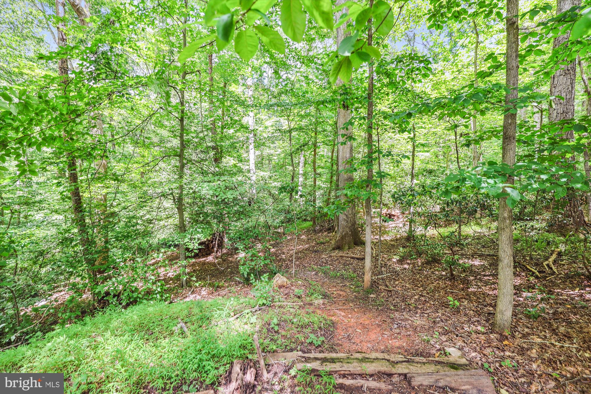 6368 YATES FORD ROAD