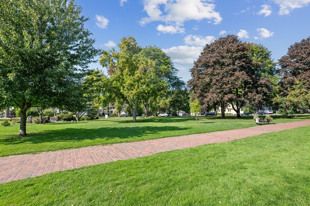 50 Whittier # 3