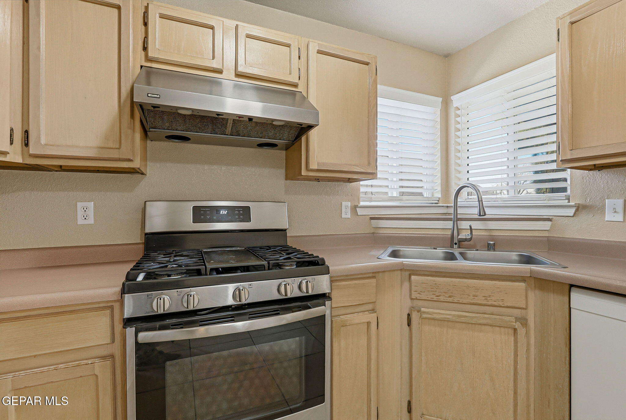 7333 CANYON RUN Drive