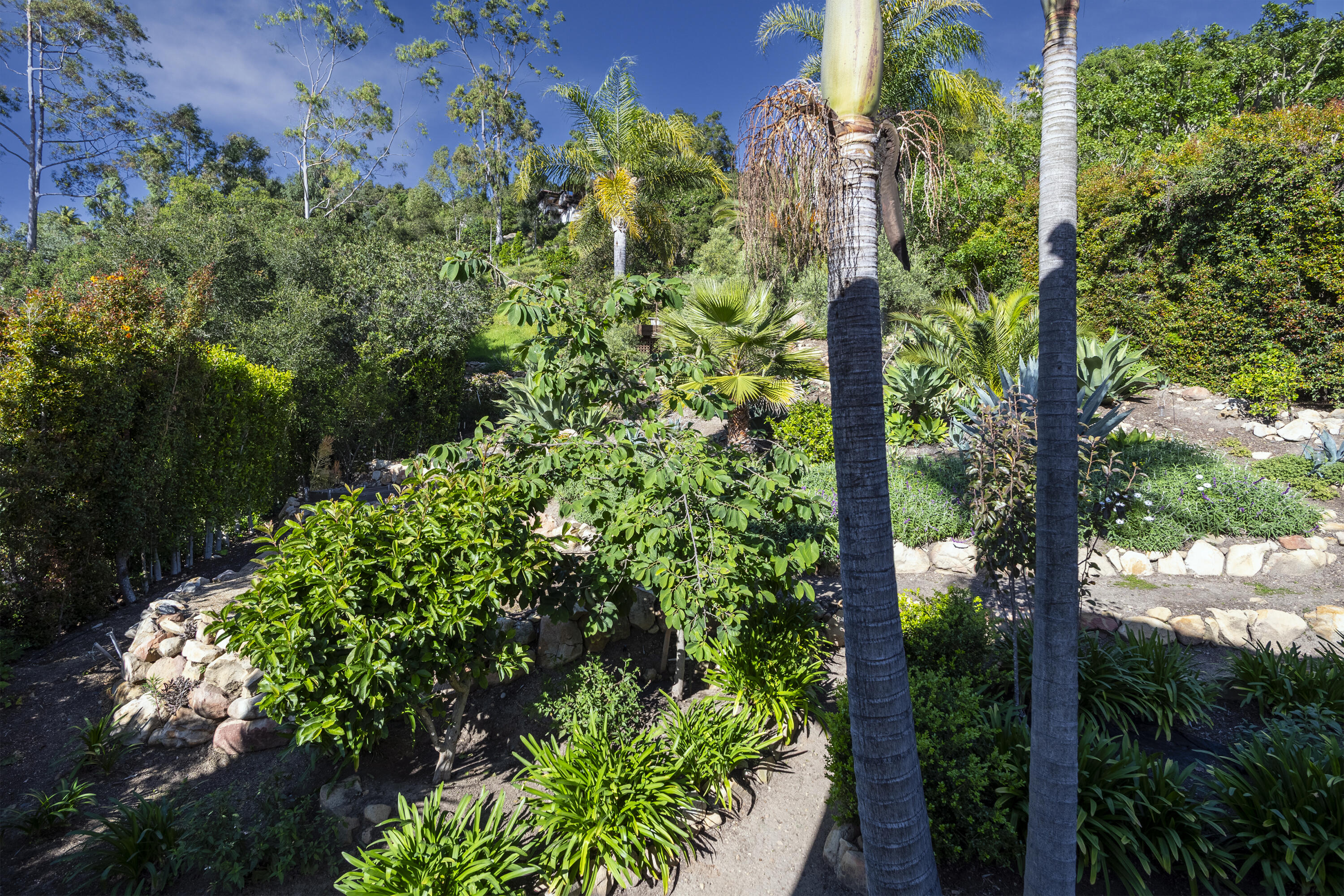 1720 Mission Ridge Road