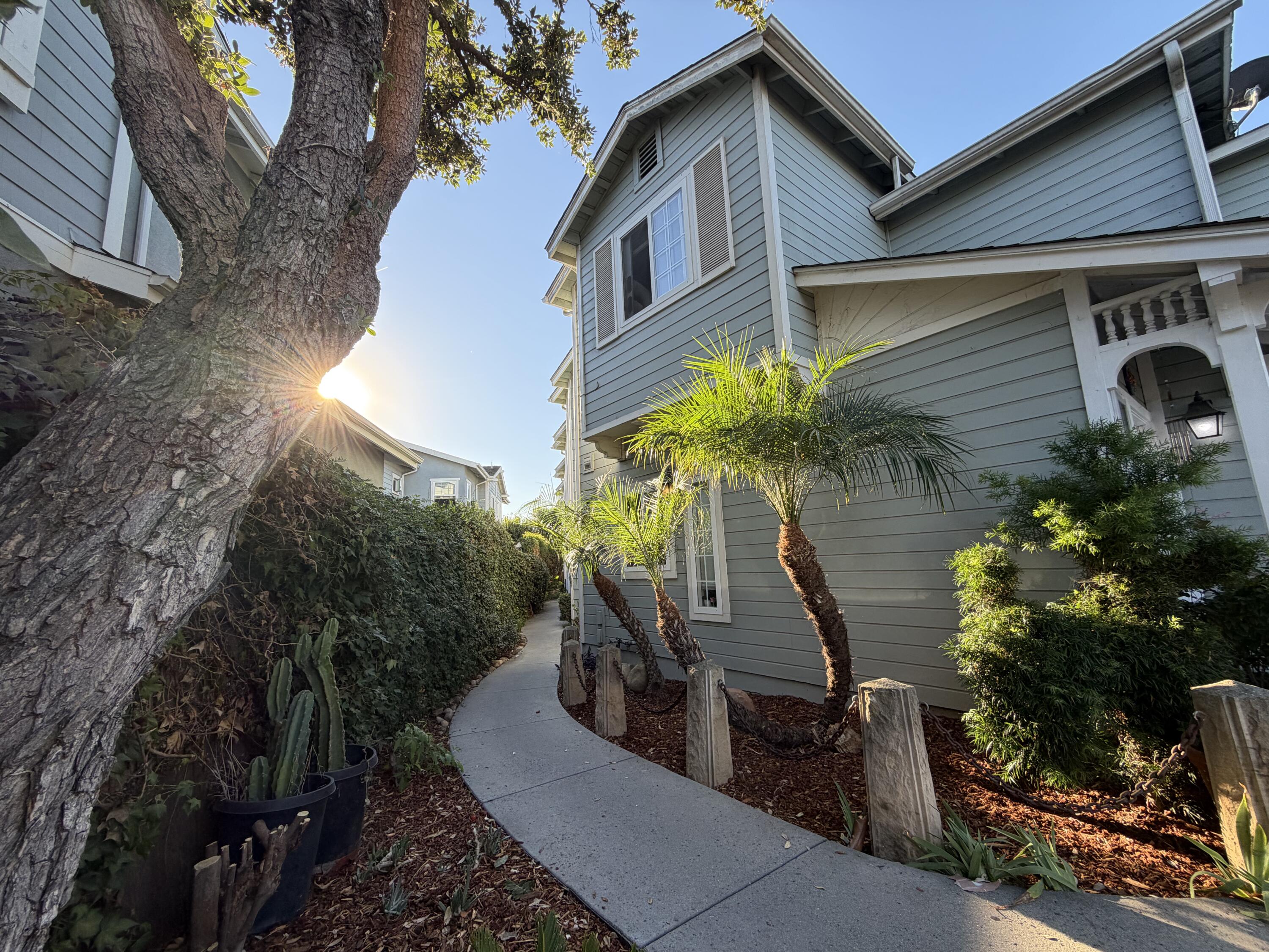 Gray two-story home beside a curved walkway, mature tree, and palm trees in low sunlight.