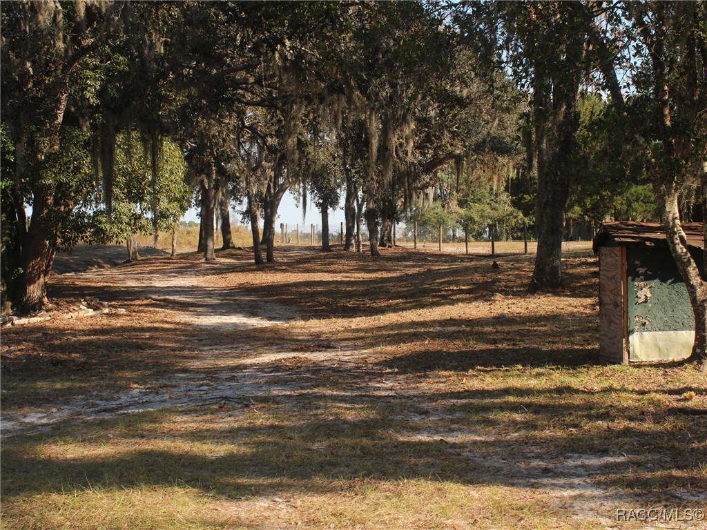 926 N Colin Kelly Point