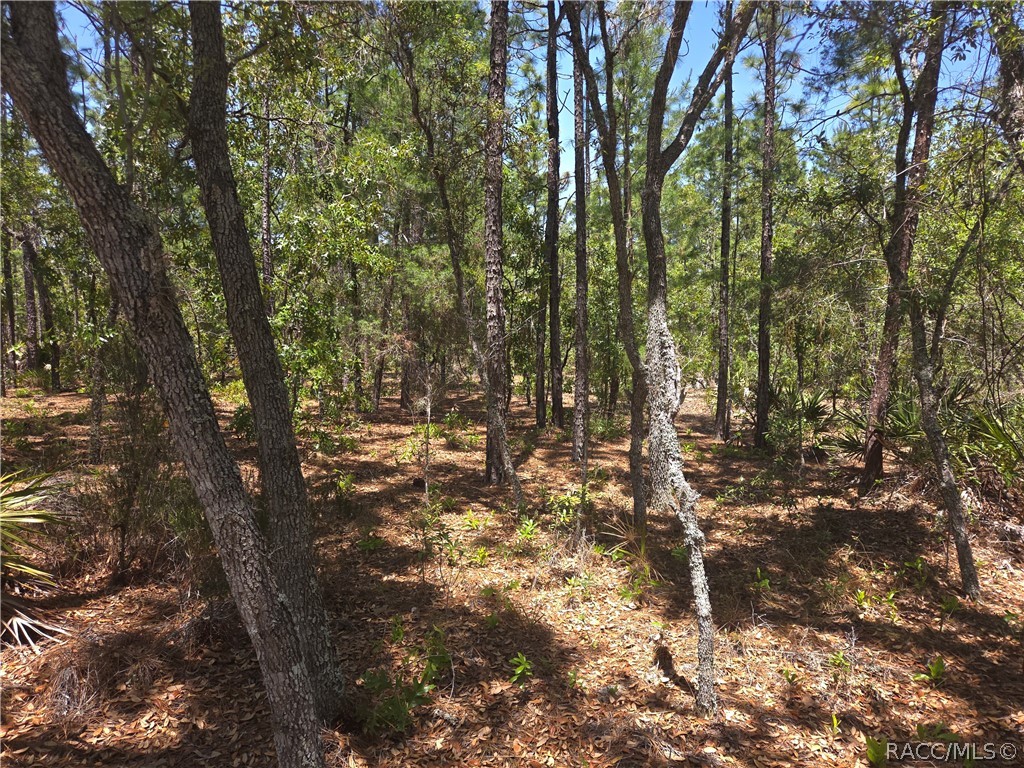 4231 W Bonanza Drive