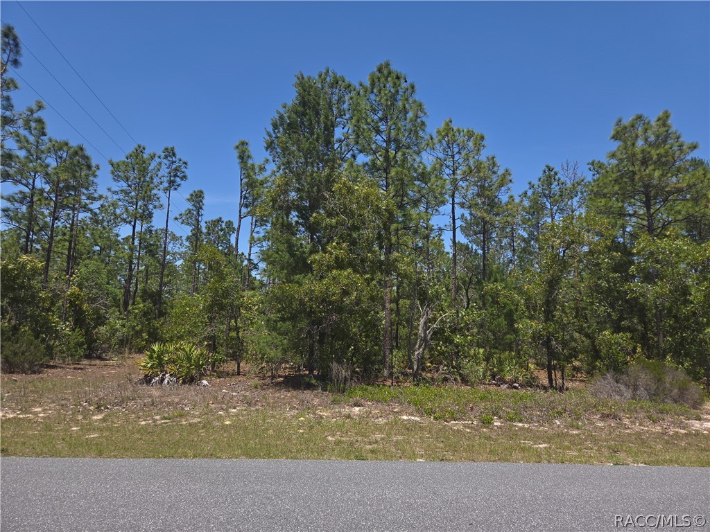 4231 W Bonanza Drive